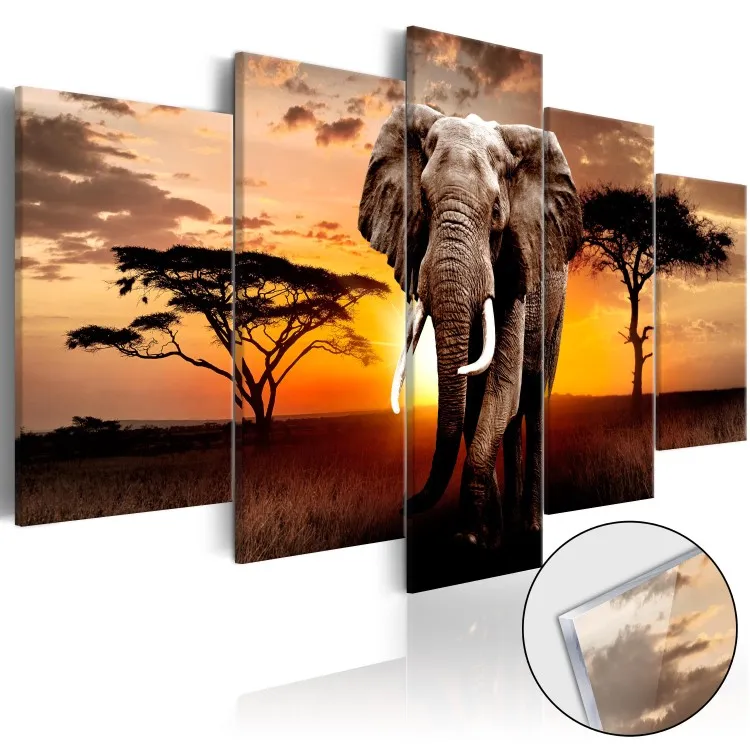 Elephant Migration [Glass]