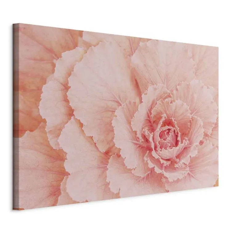 Artistry of Delicacy (1 Part) Wide