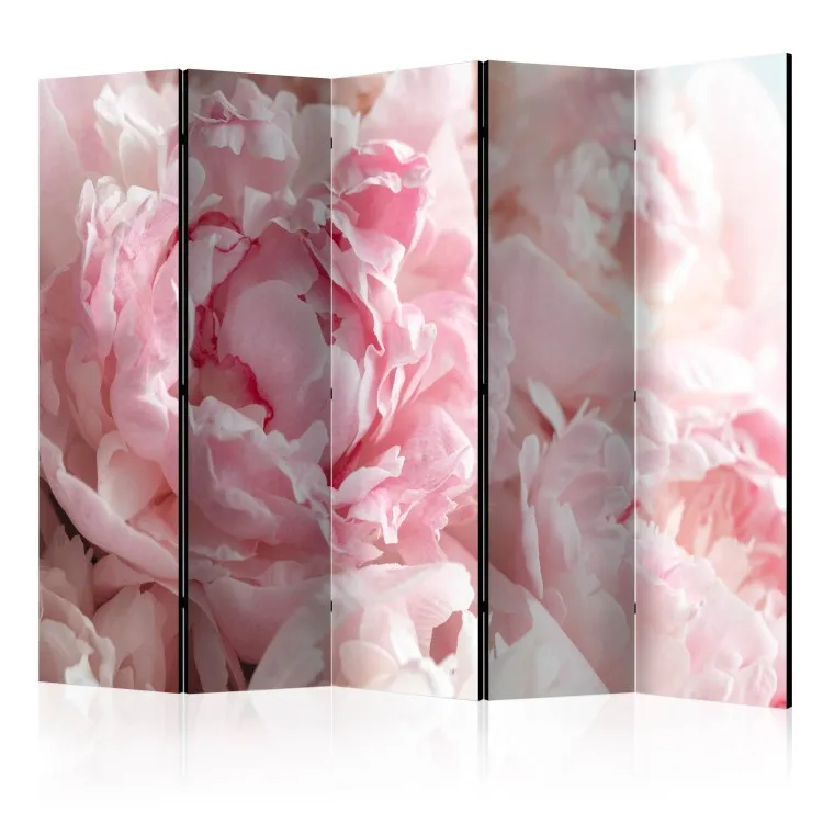 Süße Pfingstrosen II - Rosa Blütenblätter vor Sonnenstrahlen