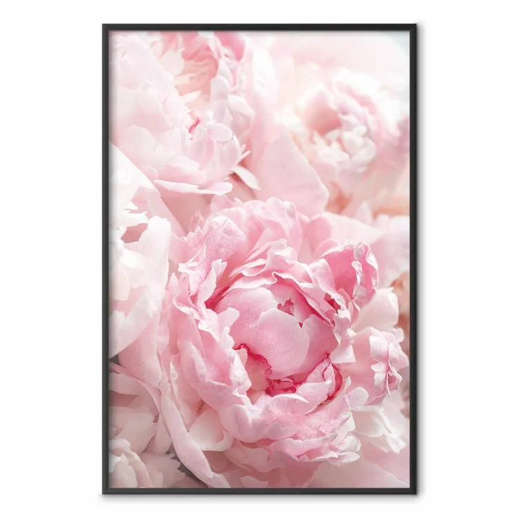 Nostalgie des Morgens - Pflanze mit rosa Blüte in pastellfarbenem Ton