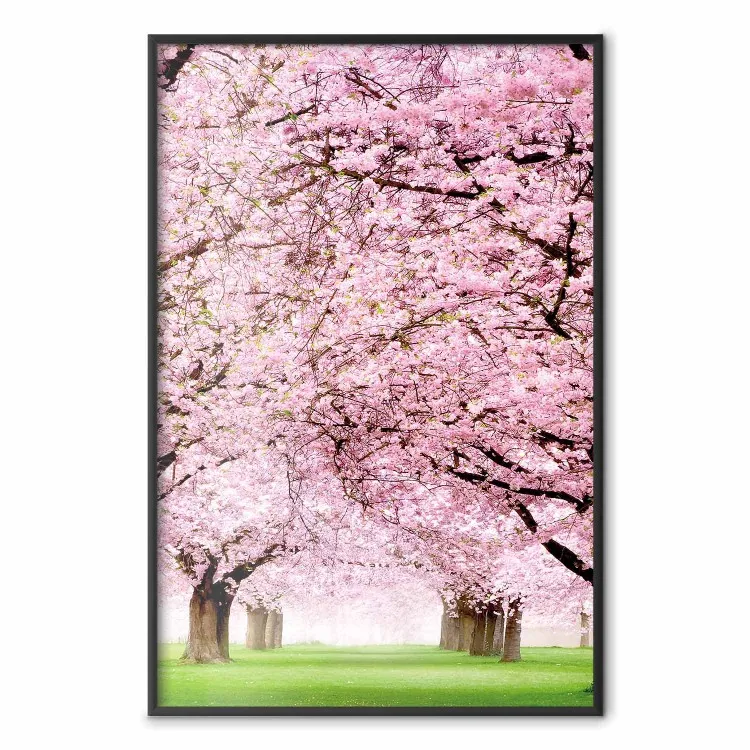 Kirschhain - Landschaft mit grünem Gras und Bäumen mit rosa Blättern