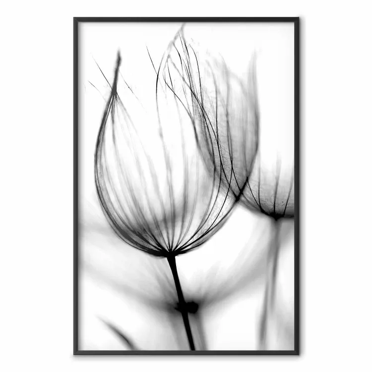 Pusteblume im Wind - Pusteblume auf Kontrastgrund