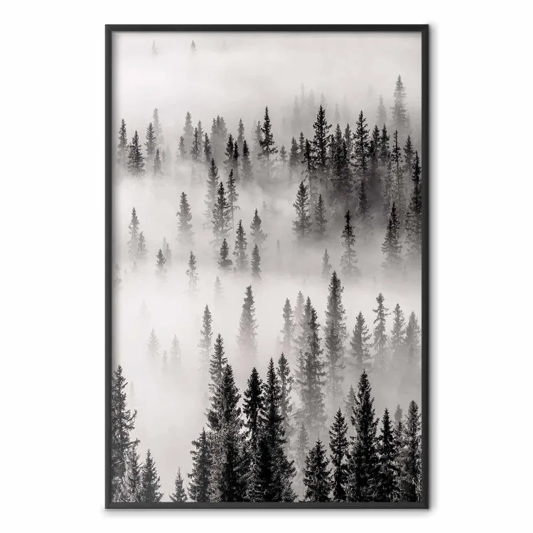 Mutterschiff - Waldlandschaft im starken Nebel