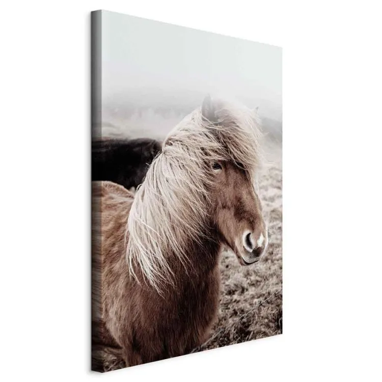 Gegen den Wind (1-teilig) Hochformat - Pferd in einem Porträtfoto