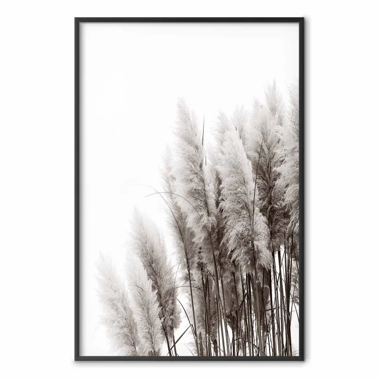 Auf den Wind warten - Monochrome Pflanzenlandschaft