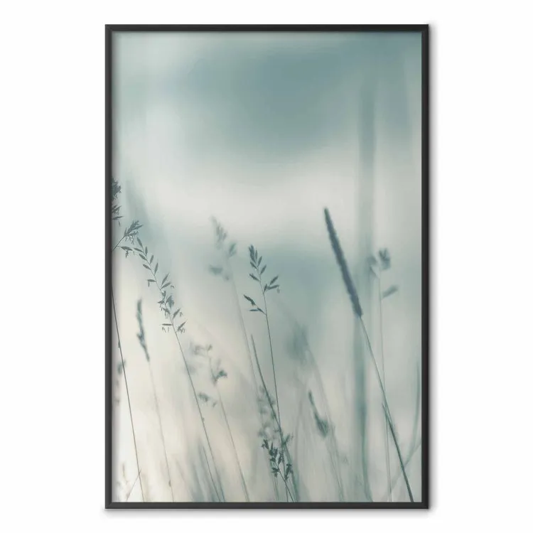 Hohe Gräser - Landschaft von Wiese mit hohem Gras in Pastellfarben