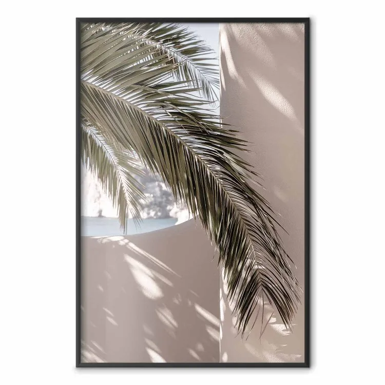 Terrasse mit Aussicht - Palme vor Wand
