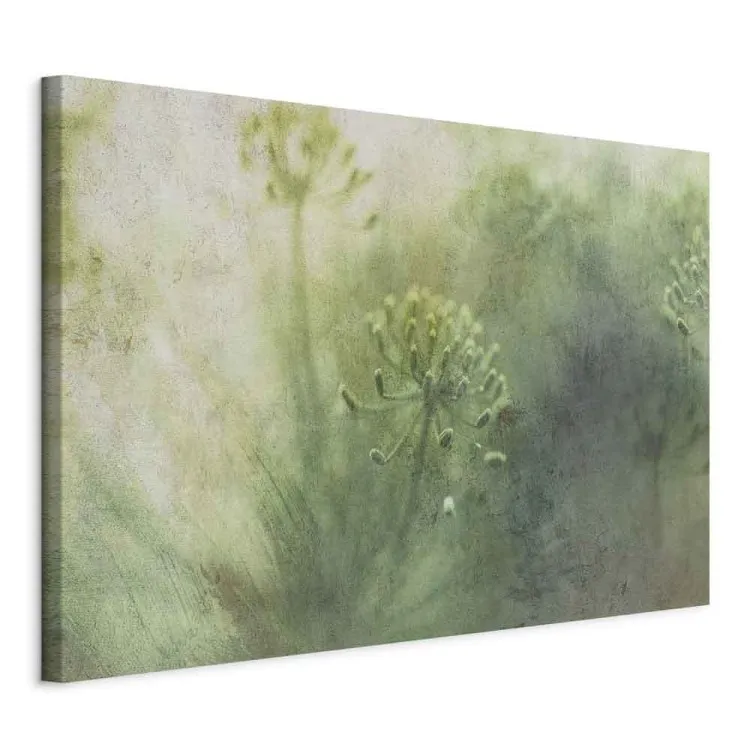 May Meadow (1 Part) Wide