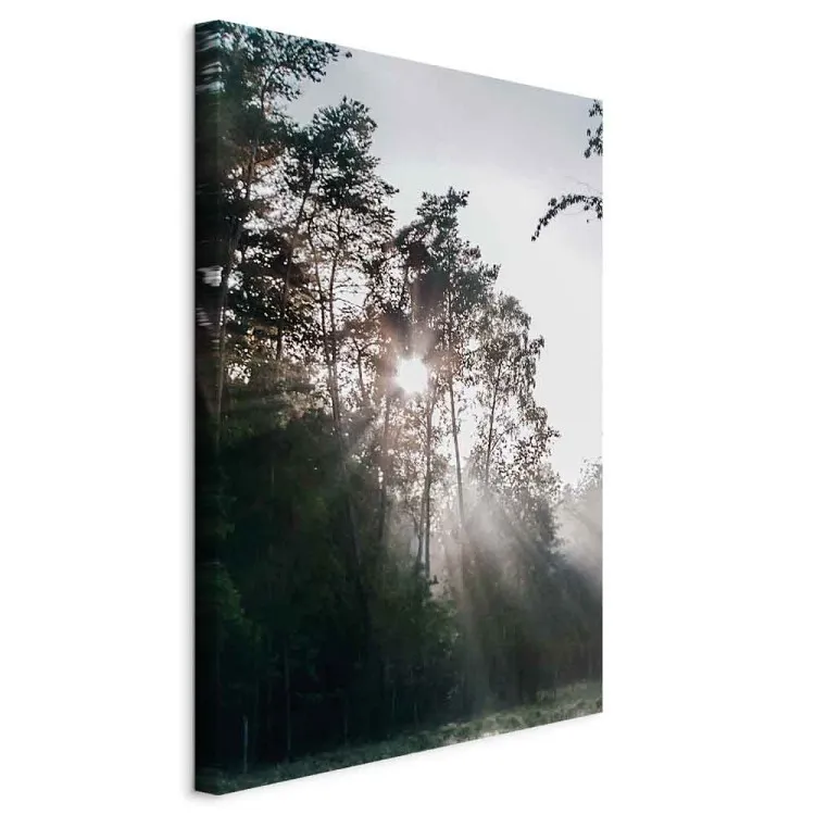 New Hope (1 Part) Vertical