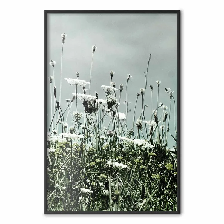 Mittsommer - Landschaft mit blühenden Wiesen und Himmel