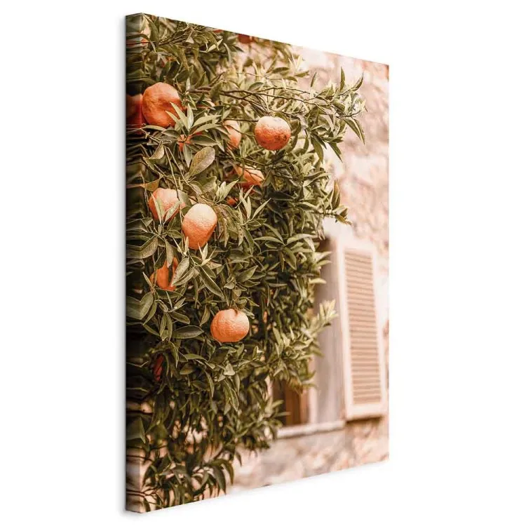 Städtische Früchte (1-teilig) - Mandarinenbaum vor einem Gebäude