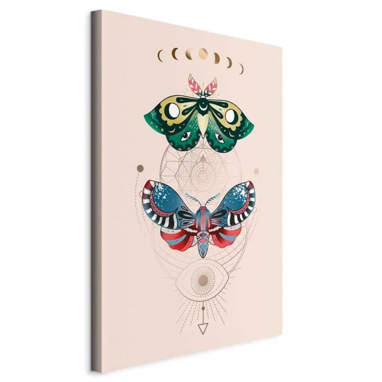 Magic Insects - Colorful Moths and Geometric Esoteric Signs