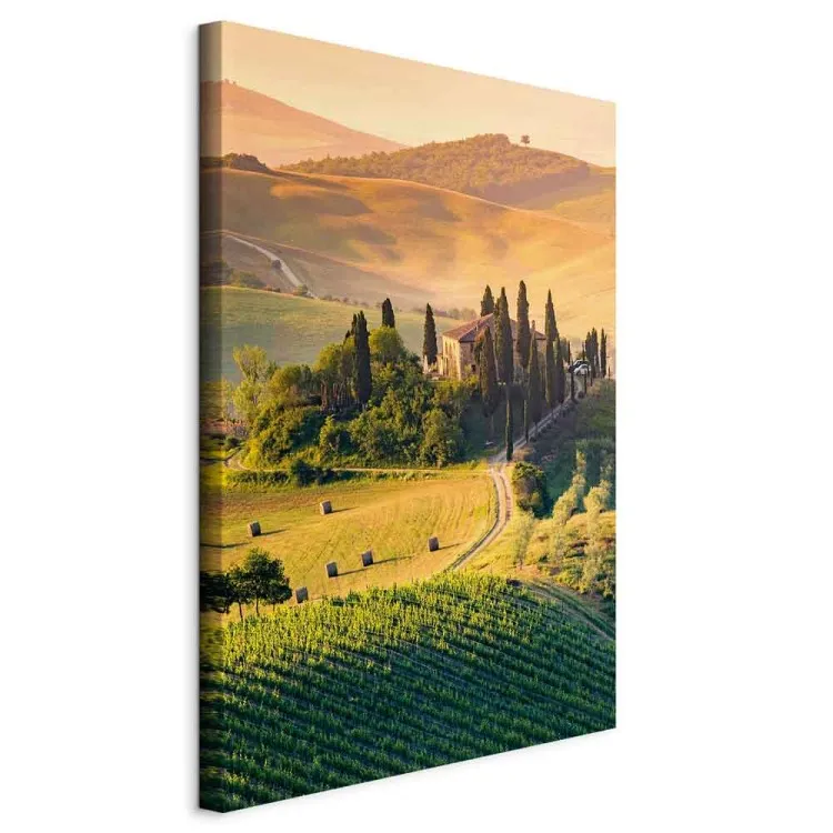 Sunny Fields of Tuscany - Landscape Photography at Sunset