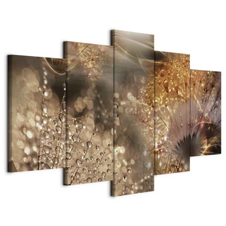 Nature and Dew - Photo of Dandelions in Warm Colors