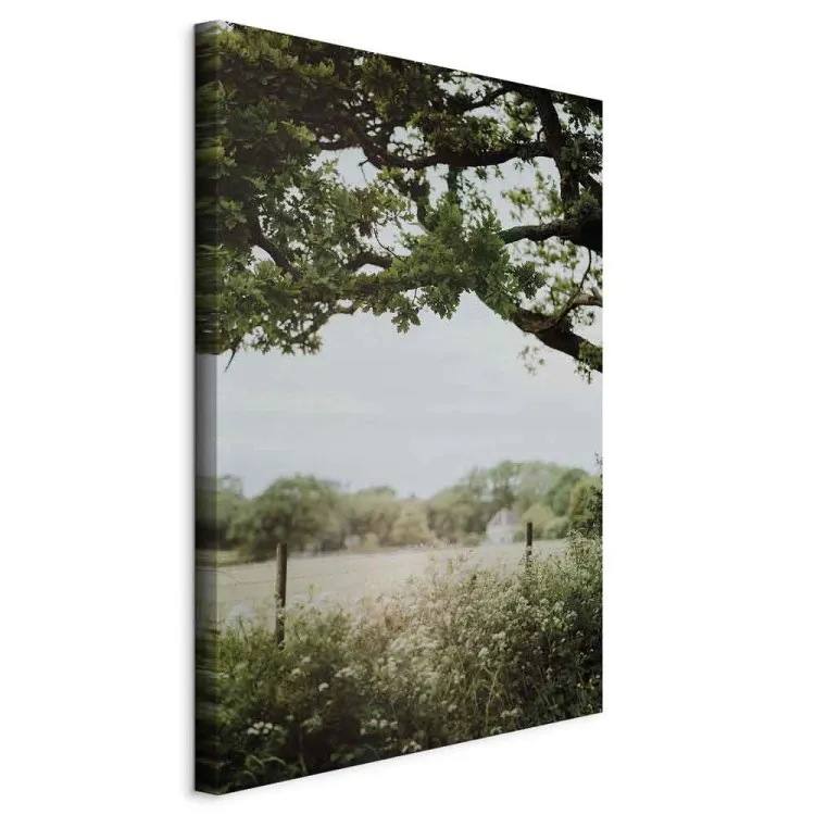 The Sun on the Meadow - Summer Landscape of Dense Vegetation