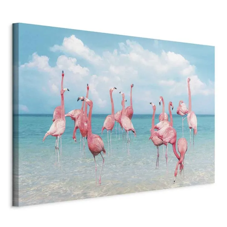 Tropische Flamingos - Vögel im klaren Wasser unter blauem Himmel